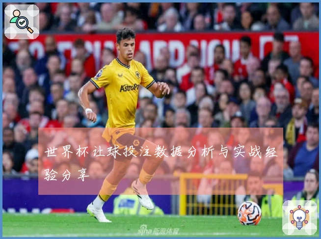世界杯让球投注数据分析与实战经验分享