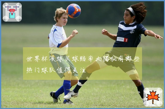 世界杯滚球买球赔率大揭秘有哪些热门球队值得关注