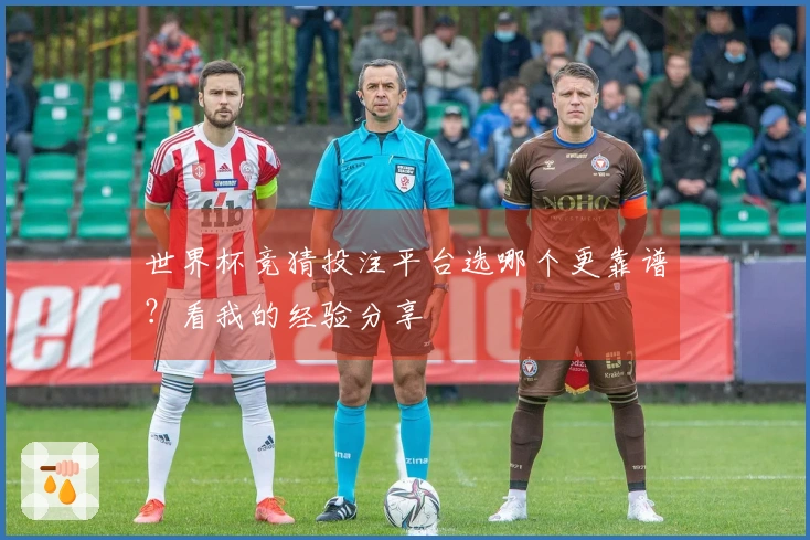 世界杯竞猜投注平台选哪个更靠谱？看我的经验分享