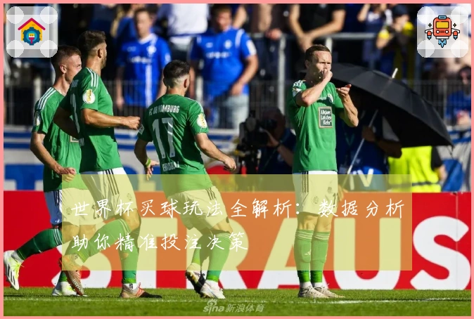 世界杯买球玩法全解析：数据分析助你精准投注决策